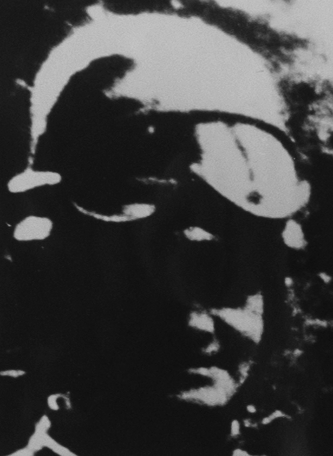 André JANSSENS